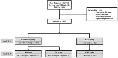 Evaluation of progression of chronic kidney disease in dogs with myxomatous mitral valve disease